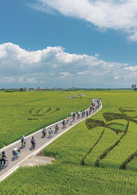 有「宜蘭伯朗大道」之稱的冬山三奇美徑,吸引不少遊客前往駐足賞玩。