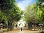 綠樹如蔭的嘉義公園是市民日常生活的休閒所在