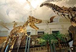 土銀展示館首展展出－「台博古生物大展」。