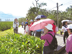 八里分館常舉辦一些生態之旅（圖為紅樹林導覽）。