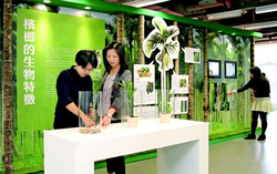 「物種與生態:檳榔的生物特徵」介紹檳榔的物種和自然特徵。