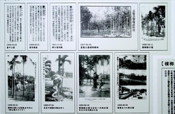 「文學與歌謠:檳榔的文化詮釋」讓民眾認識歷代與檳榔相關的故事、歌謠或詩詞。