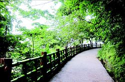 森林公園中山歌綠廊。
