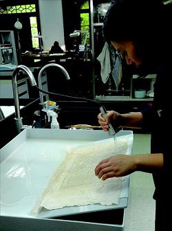 洗書需於紙張發黃處調製鹼水刷洗，再以溫水清洗書頁。