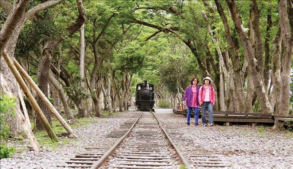 森林、鐵道、老火車頭,重現過往運輸木材的景象。