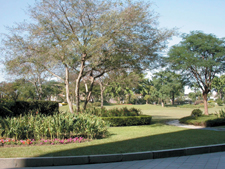 國立自然科學博物館庭園