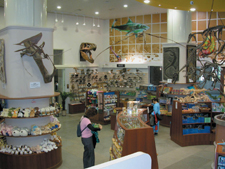 國立自然科學博物館書店及賣店